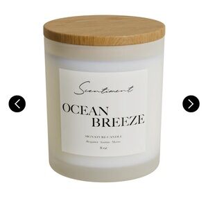 Scentiment OCEAN BREEZE FROSTED CANDLE